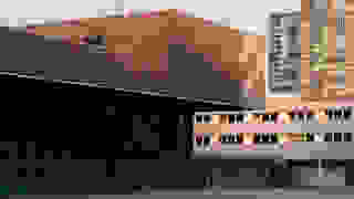 Ein Händedruck sagt mehr als 1000 Klicks